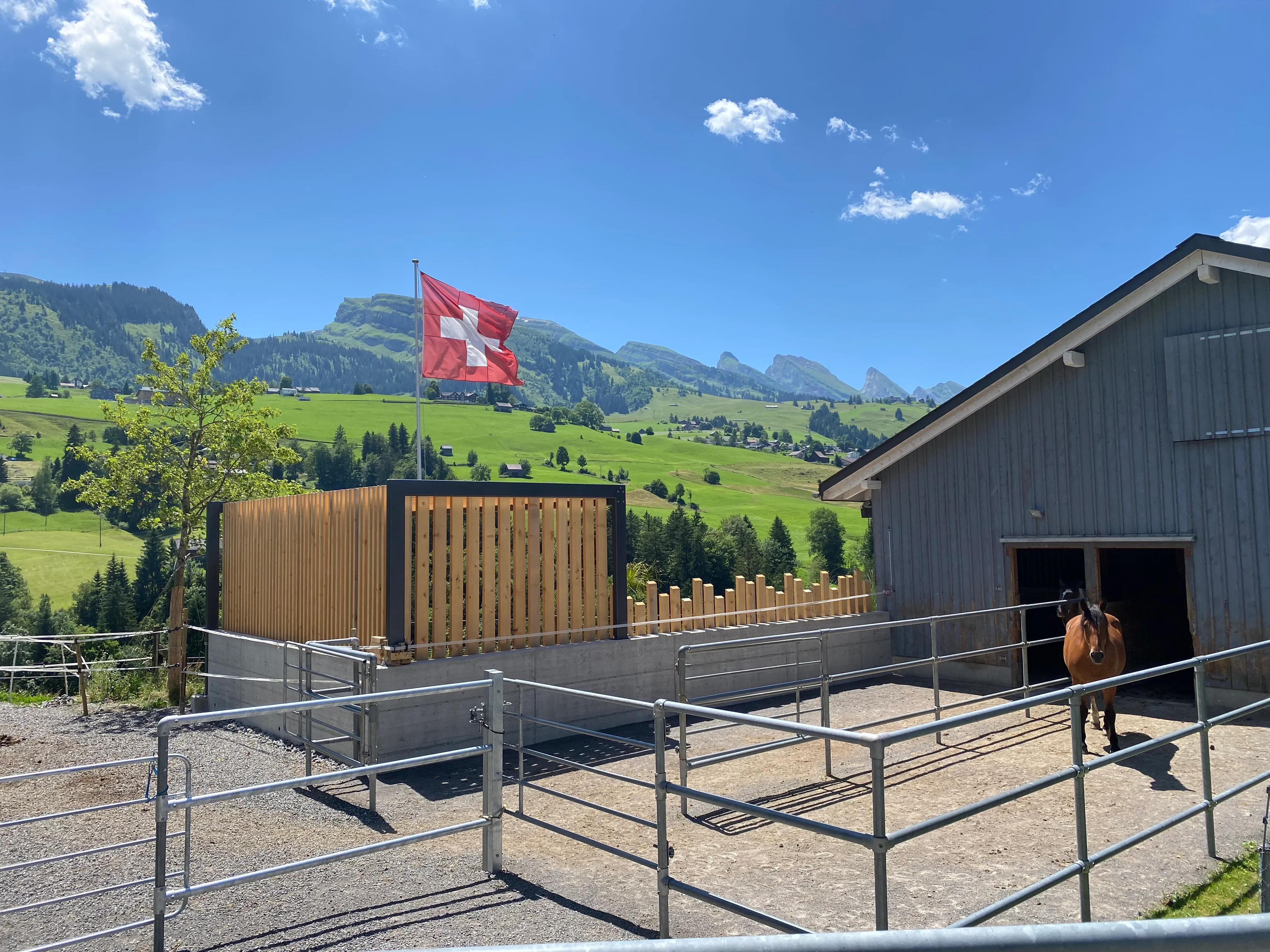 Holzkonstruktion der Pergola als Abschluss zum angrenzenden Weideland.
